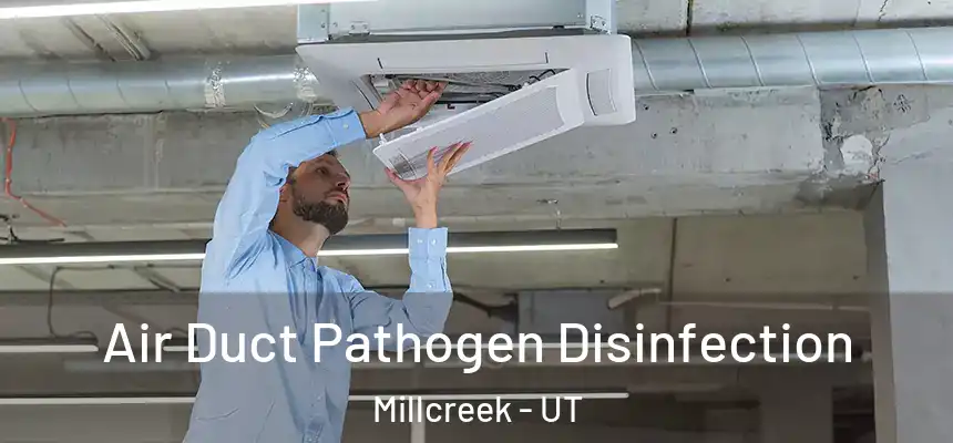 Air Duct Pathogen Disinfection Millcreek - UT