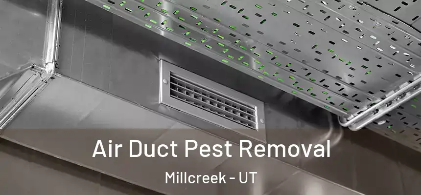 Air Duct Pest Removal Millcreek - UT