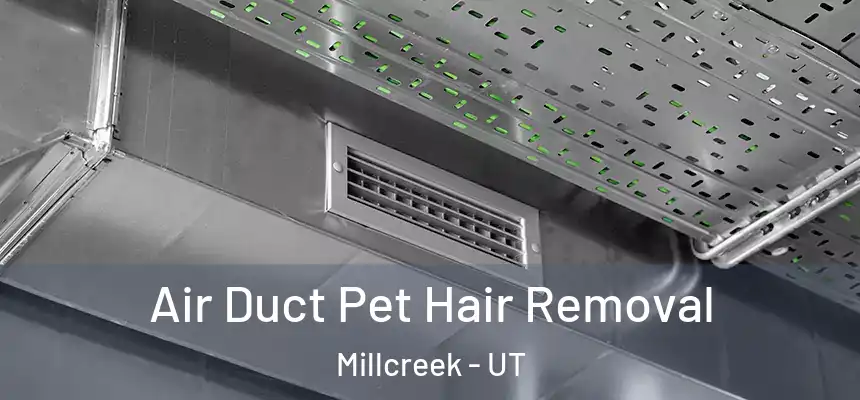 Air Duct Pet Hair Removal Millcreek - UT