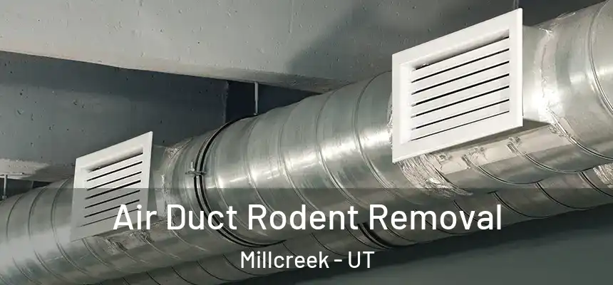 Air Duct Rodent Removal Millcreek - UT
