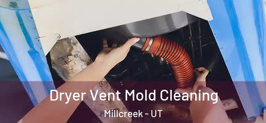 Dryer Vent Mold Cleaning Millcreek - UT