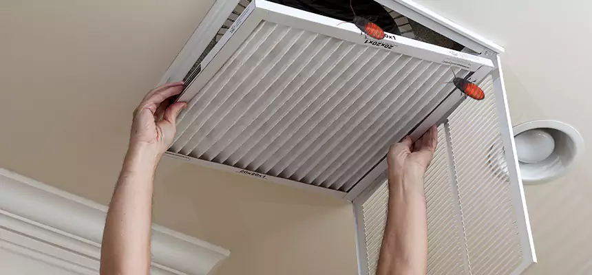 Preventive Cockroach-Proofing for Ducts in Millcreek