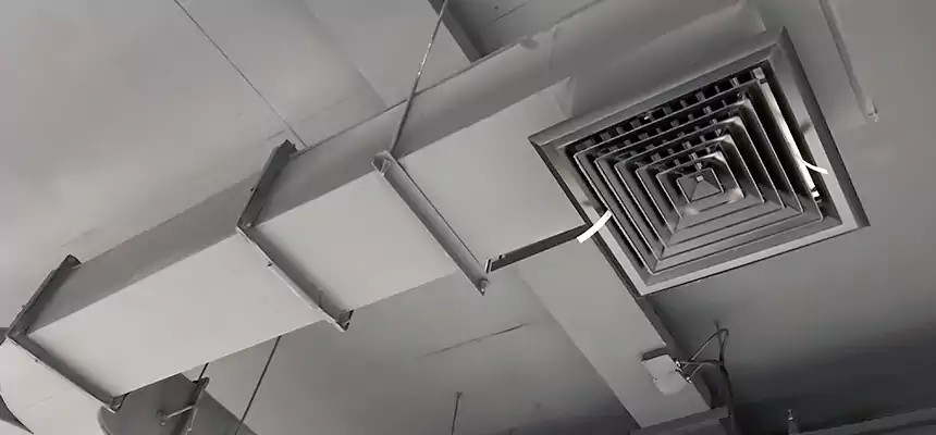 Restorative Allergy Relief Vent Cleaning – Coil, Blower & Housing Detail in Millcreek