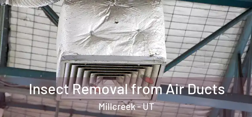 Insect Removal from Air Ducts Millcreek - UT