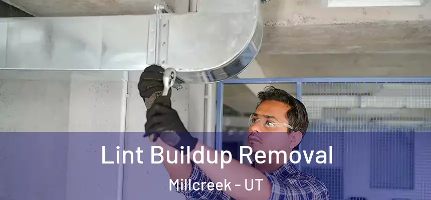 Lint Buildup Removal Millcreek - UT