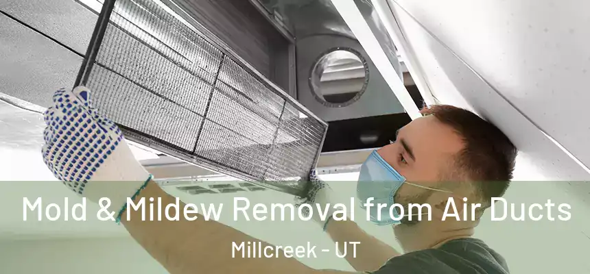 Mold & Mildew Removal from Air Ducts Millcreek - UT