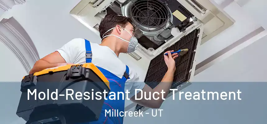 Mold-Resistant Duct Treatment Millcreek - UT