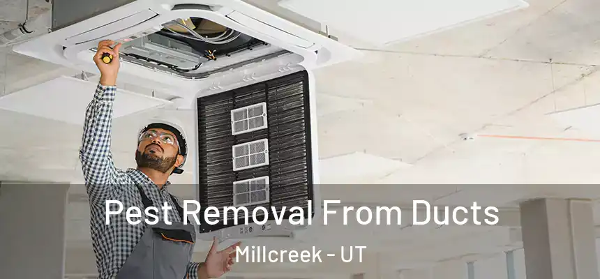 Pest Removal From Ducts Millcreek - UT