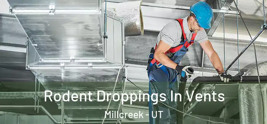  Rodent Droppings In Vents Millcreek - UT