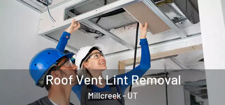 Roof Vent Lint Removal Millcreek - UT