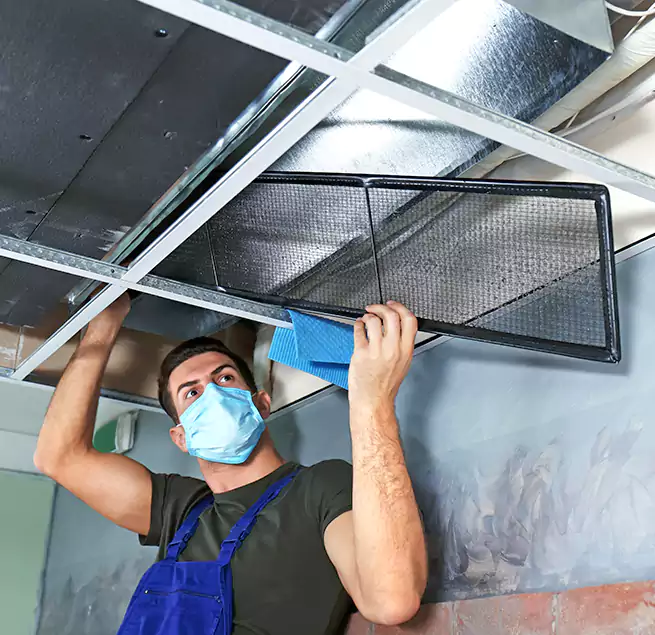 Why Homeowners Businesses Trust Us in Millcreek, UT