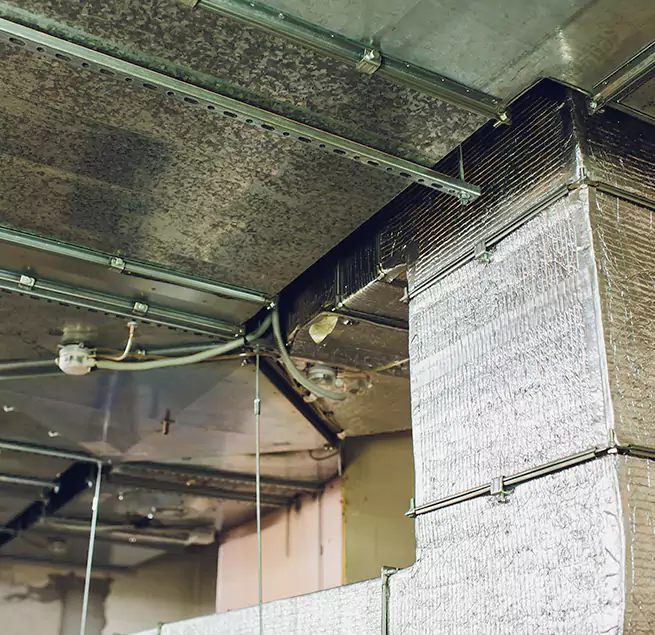 Why Homeowners & Businesses Trust Us in Millcreek, UT?